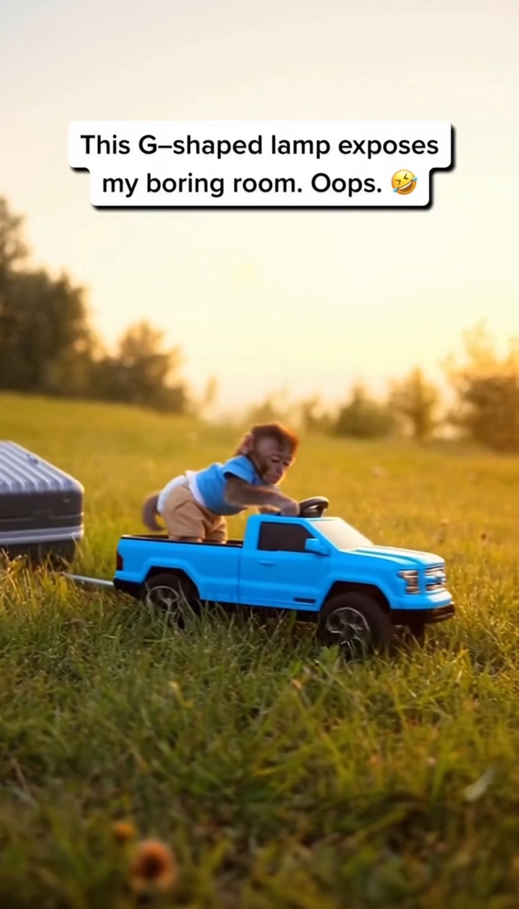tiktok memes